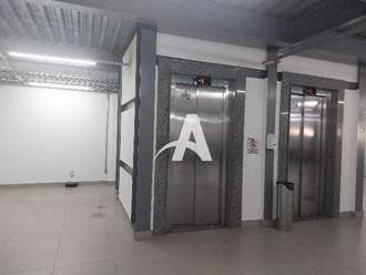 Não foi possível carregar a imagem.